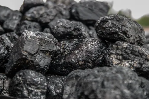 Coal briquettes
